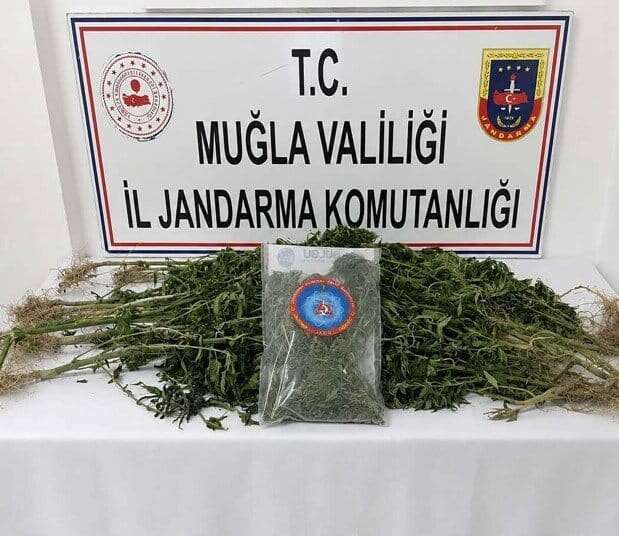 Muğla Jandarmasından Narkotik Operasyonu: 30 Şüpheli Yakalandı, 5'i Tutuklandı 3
